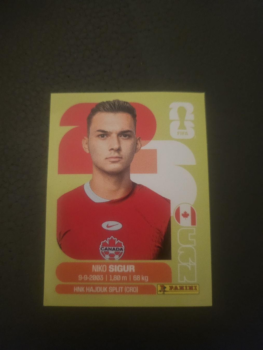 Panini Carte collezionabili: panini CAN 16 – Nuovo (secondo la descrizione) da Croy venduto da sylvie1350