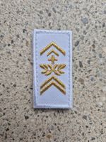 *** Gradabzeichen Adjutant Taz Soldat mit klett ***