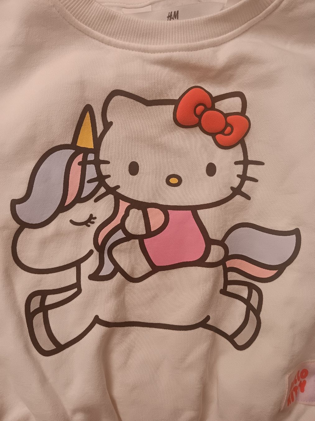 H&M Pulls & Sweat-shirts: pull enfant hello kitty licorne – D'occasion à Lausanne par Grabock 1
