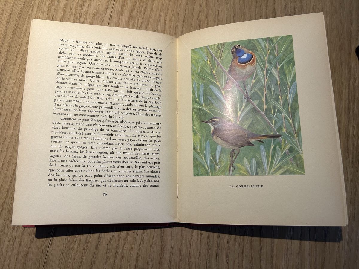 Libri: Nos oiseaux Rambert Robert 1951 illustré couleur – Usato da Lausanne venduto da TelmaLouise70 5