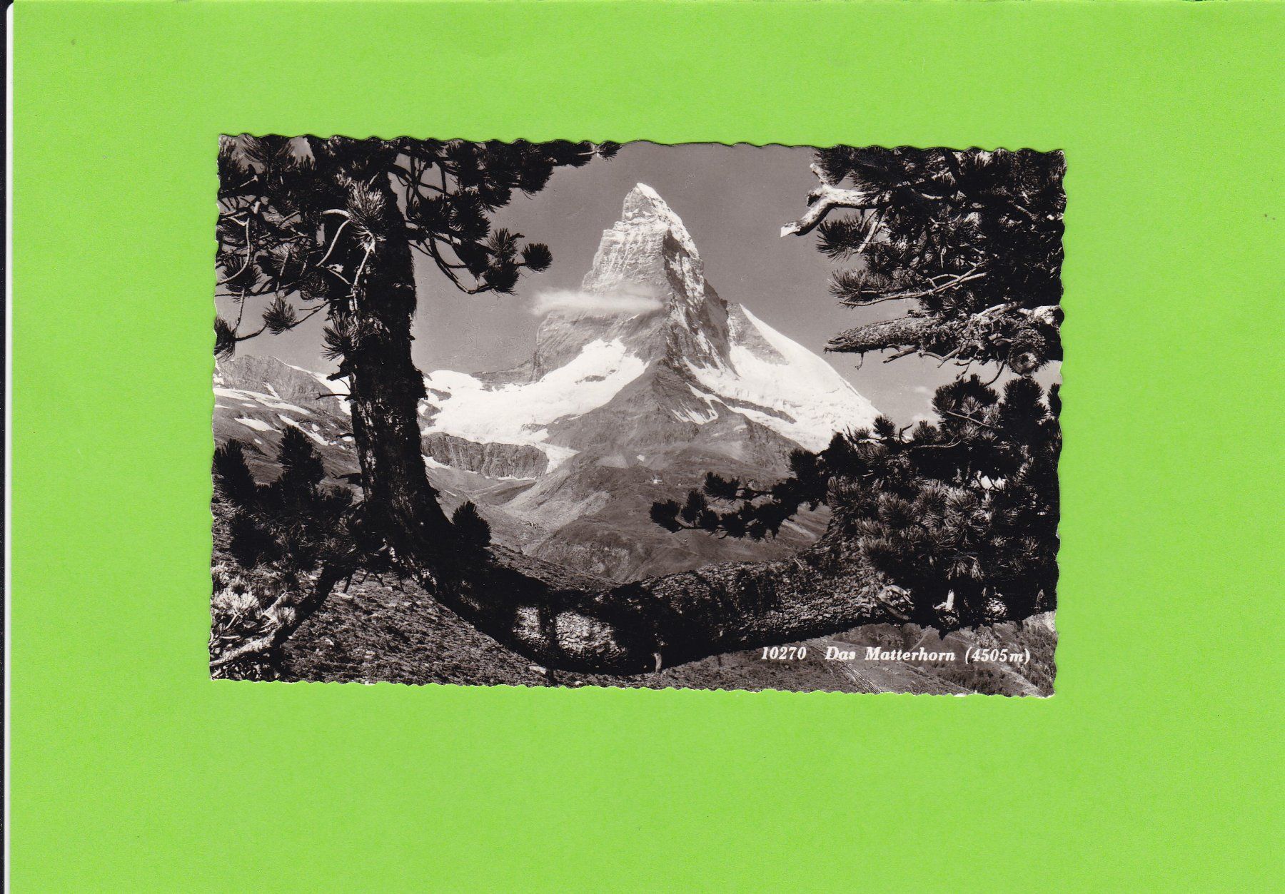 Cartoline postali: Das Matterhorn – Usato da St. Peterzell venduto da neckertal