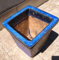 Blumentof blau