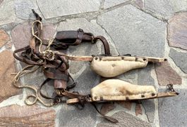 Antikes dekoratives Kuh- Kummet-Geschirr