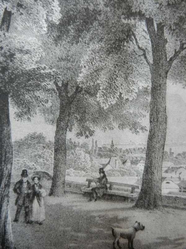Stiche: Vevey Vivis – Gebraucht aus Risch von Rischli15 4
