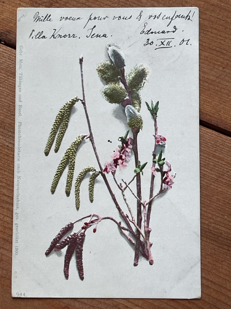 Cartoline postali: Alte Ansichtskarte – Usato da Strengelbach venduto da Aschatan5
