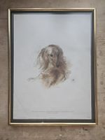 lithographie vintage encadrée teckel Mads Stage