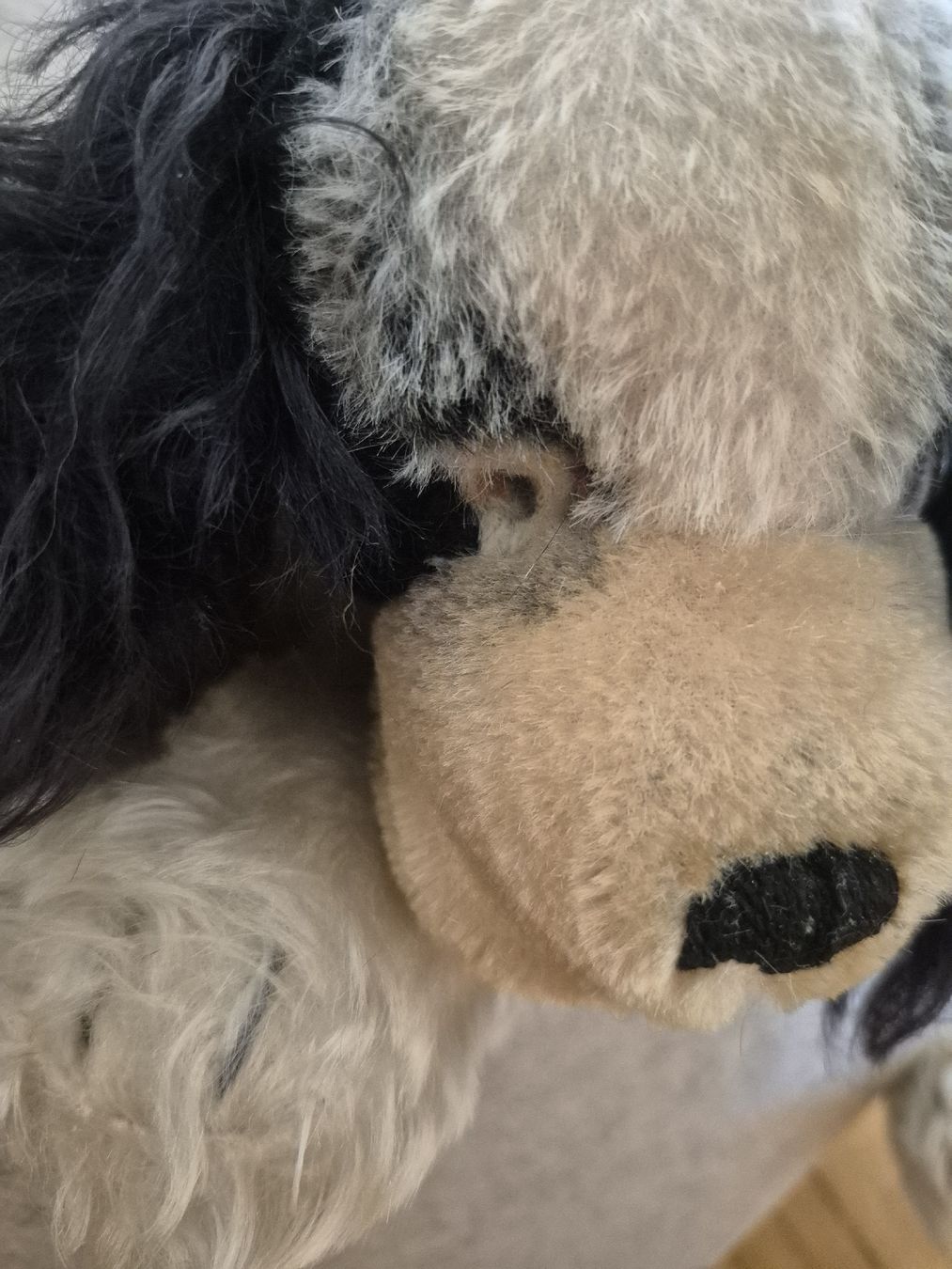 Steiff Spielzeuge: Steiff Hund Cockie – Gebraucht aus Bern von san_kcw5 4