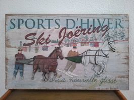 🐎 Magnifique Grand Tableau en Relief Vintage - Ski Jöering