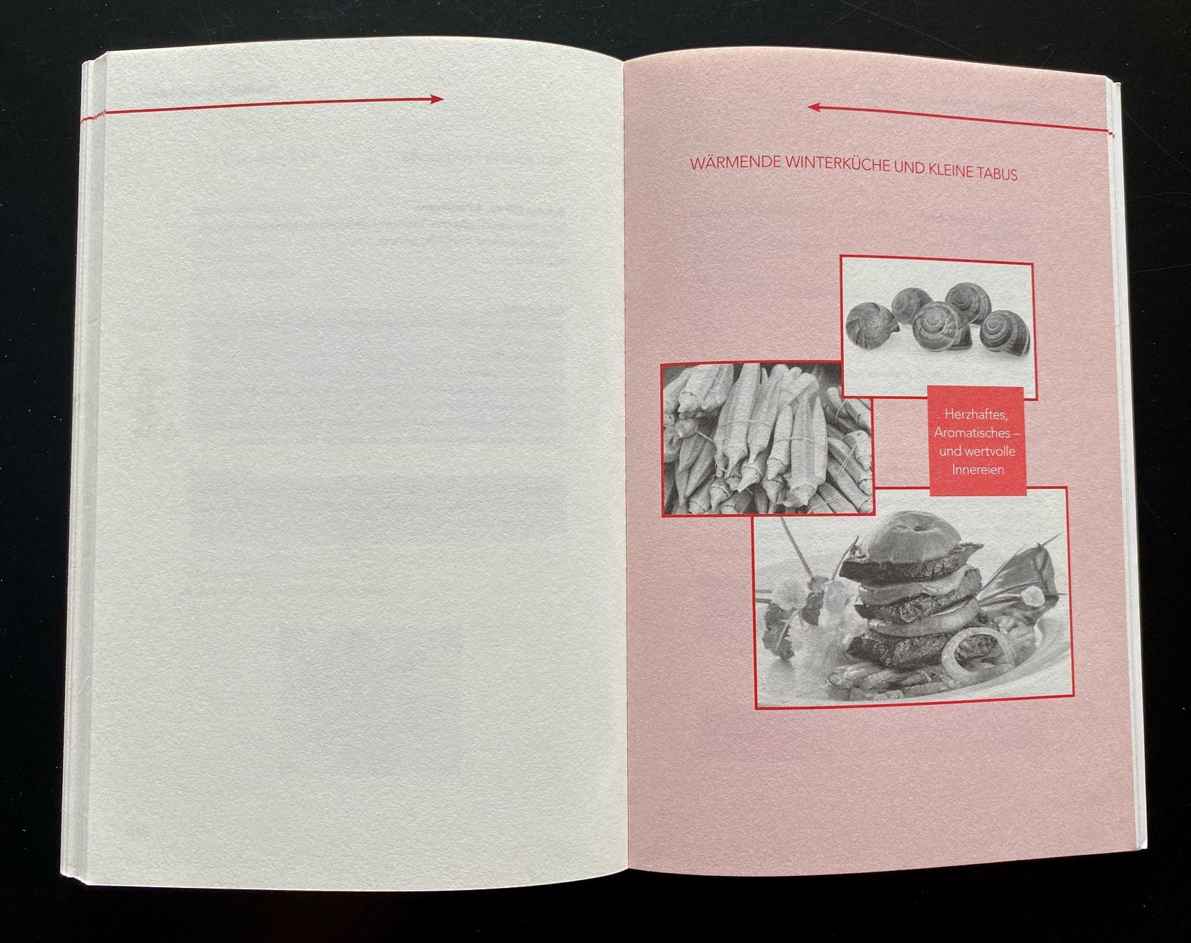 Libri: DAS PALÄOPOWER KOCHBUCH / Sabine Paul – Usato da Nussbaumen AG venduto da schuba2000 5