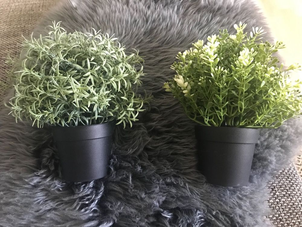 Künstliche Pflanzen “FEJKA” IKEA Kaufen auf Ricardo