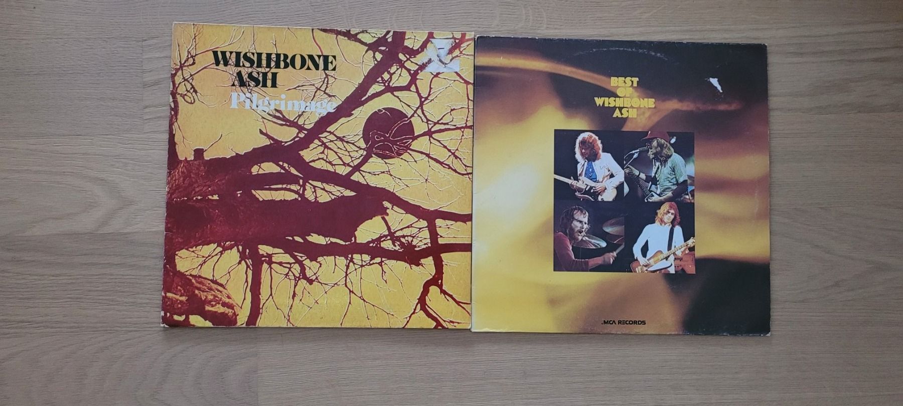 Dischi in vinile: 2 LP  Wishbone Ash – Usato da Martigny venduto da MZ-67