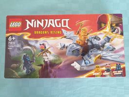 LEGO NINJAGO 71810