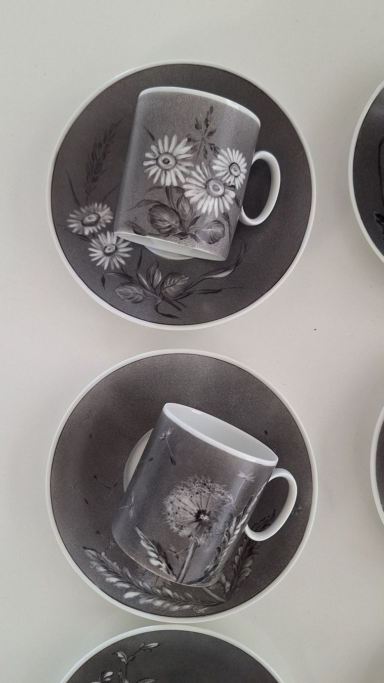 Thomas Set di piatti: ca. 1979 - Vintage Tassen-Set – Thomas , "Botanic" – Usato da Horgen venduto da OlJaS 2