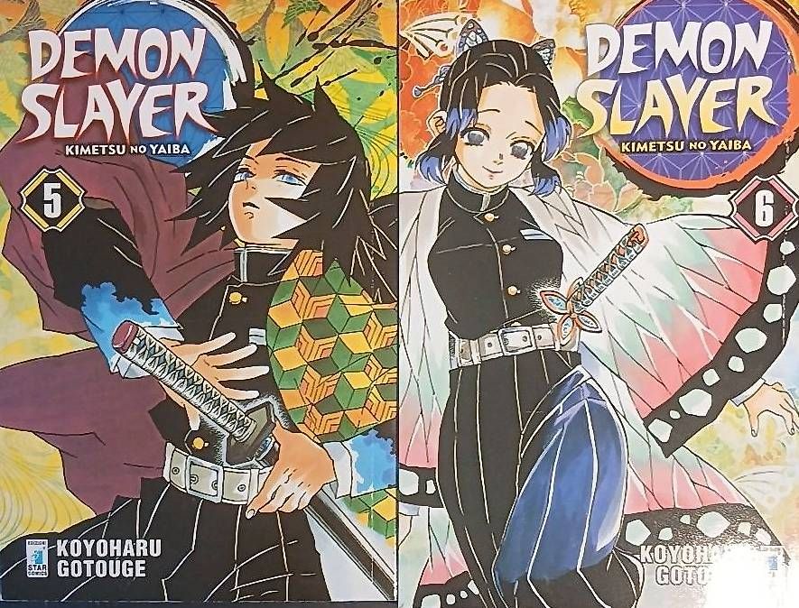 Comics: Demon Slayer Manga Volume 1-6 – Gebraucht aus Riva San Vitale von tobias.hub07 2