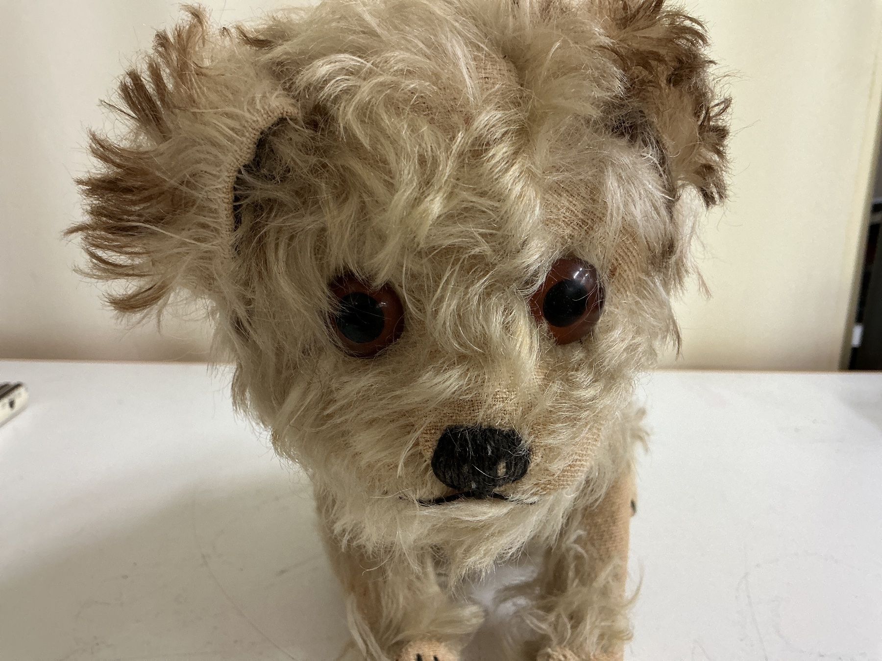 Giocattoli: Steiff Molly Hund – Usato da Bern venduto da vielerart 4