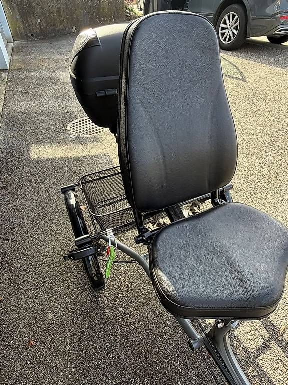 Biciclette: Dreirad Elektro – Usato da Meinisberg venduto da erku2554 2