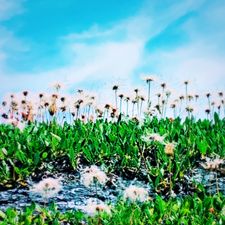 Profile image of BLACK_CARTINA