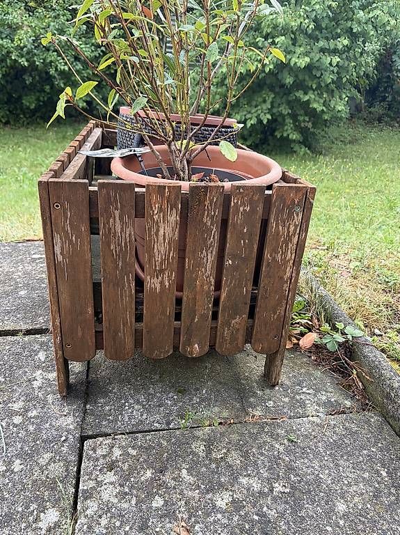 Pots de fleurs: Töpfenbox - Ikea – D'occasion à Zollikerberg par kajschi 1