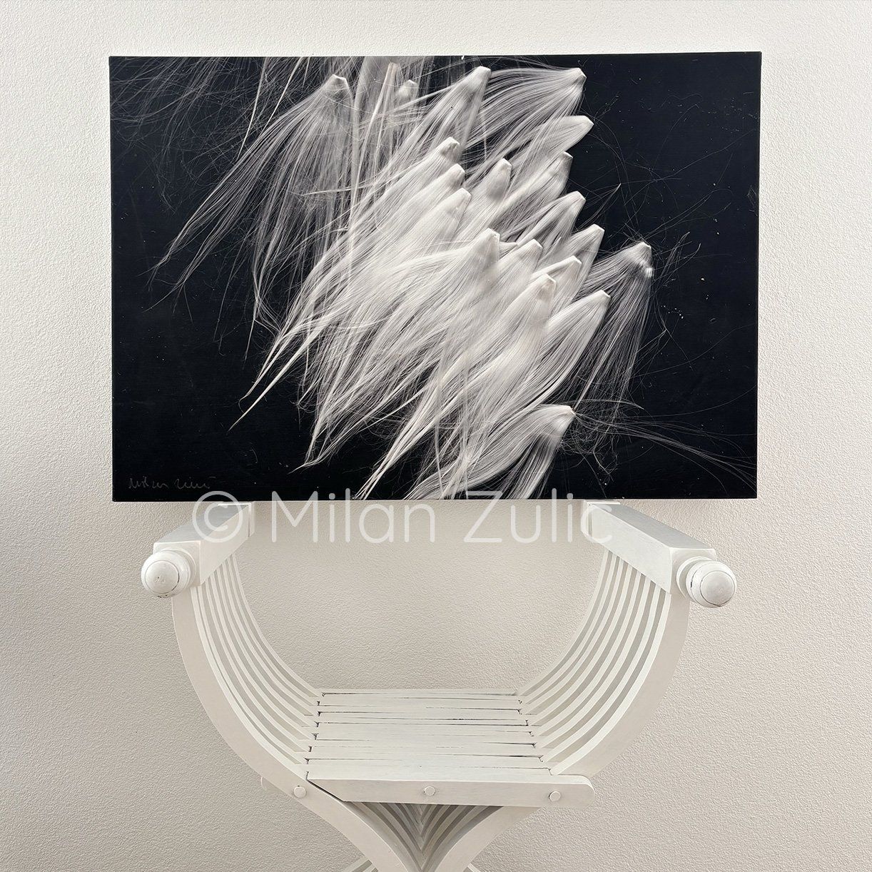 Foto & Immagini: Milan Zulic ~22 – Nuovo (secondo la descrizione) da Uetikon am See venduto da mil_7k2b 1