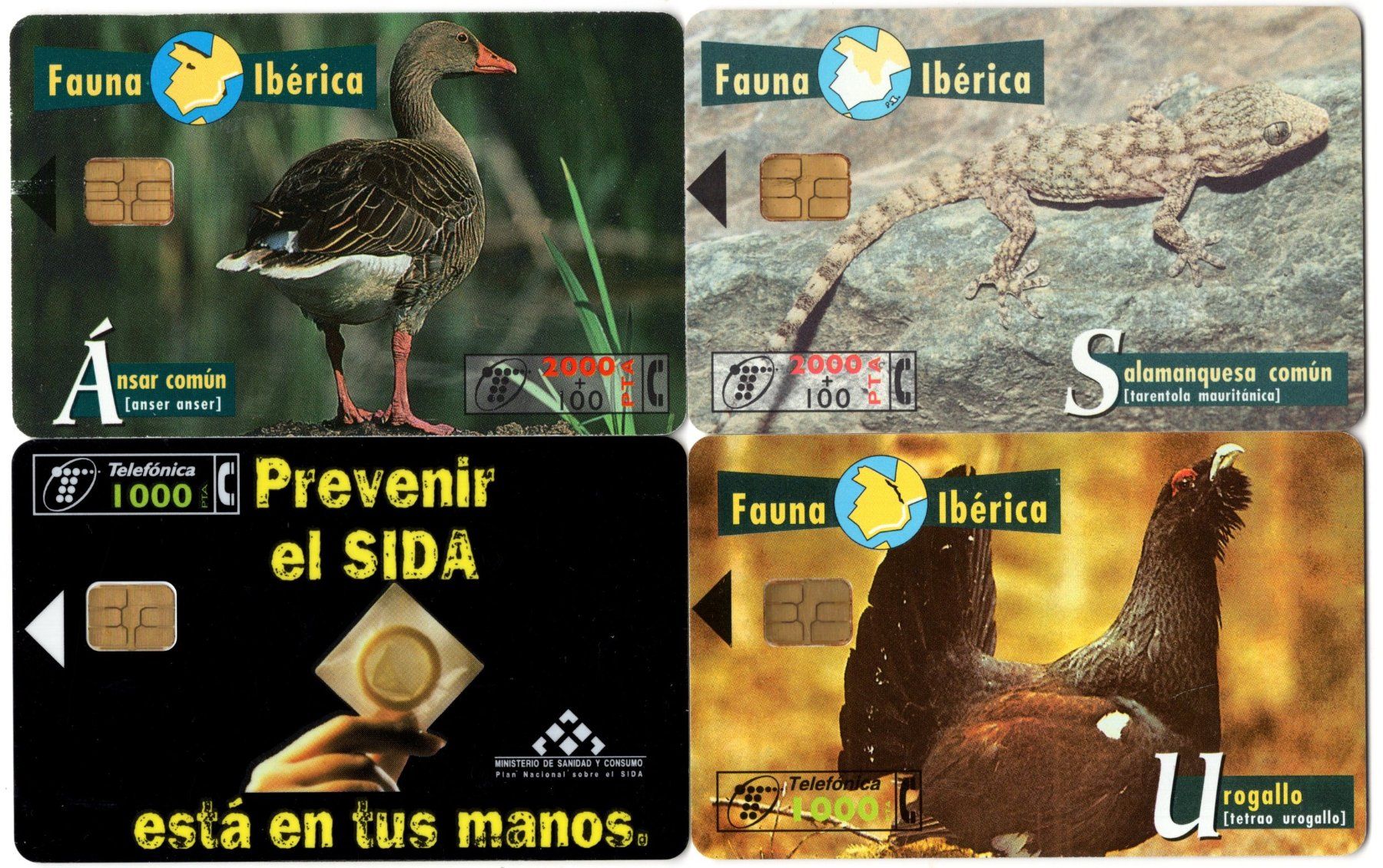 Schede telefoniche: 4 diverse Motiv Telefonkarten von SPANIEN – Usato da Eglisau venduto da Chperfins