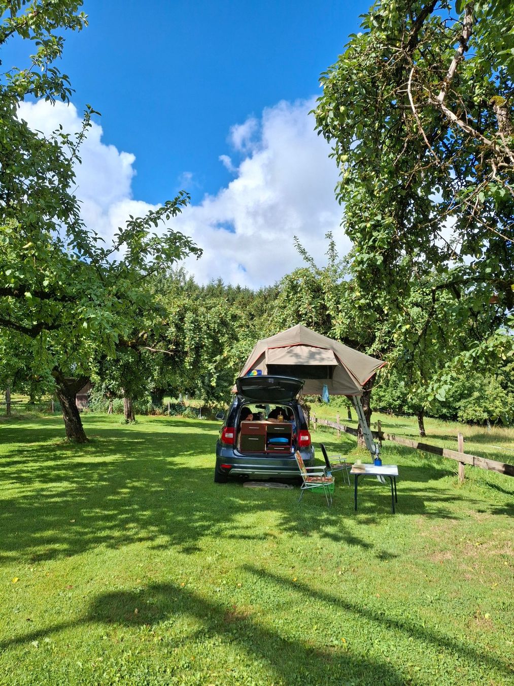 Skoda Automobili: spezieller "Camper" Skoda Yeti 4x4 – Usato da Horw venduto da tomacin