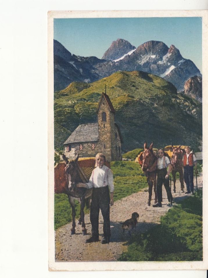 Cartoline postali: Meglisalp Säntissäumer ca. 1930 – Usato da Bürglen TG venduto da StampGraf