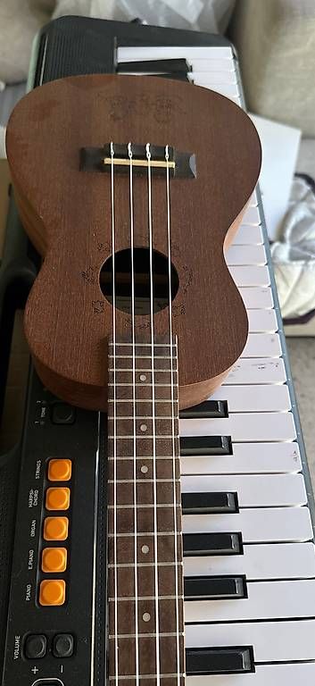 Instruments de musique: Ukulélé – D'occasion à Plan-les-Ouates par emma1981