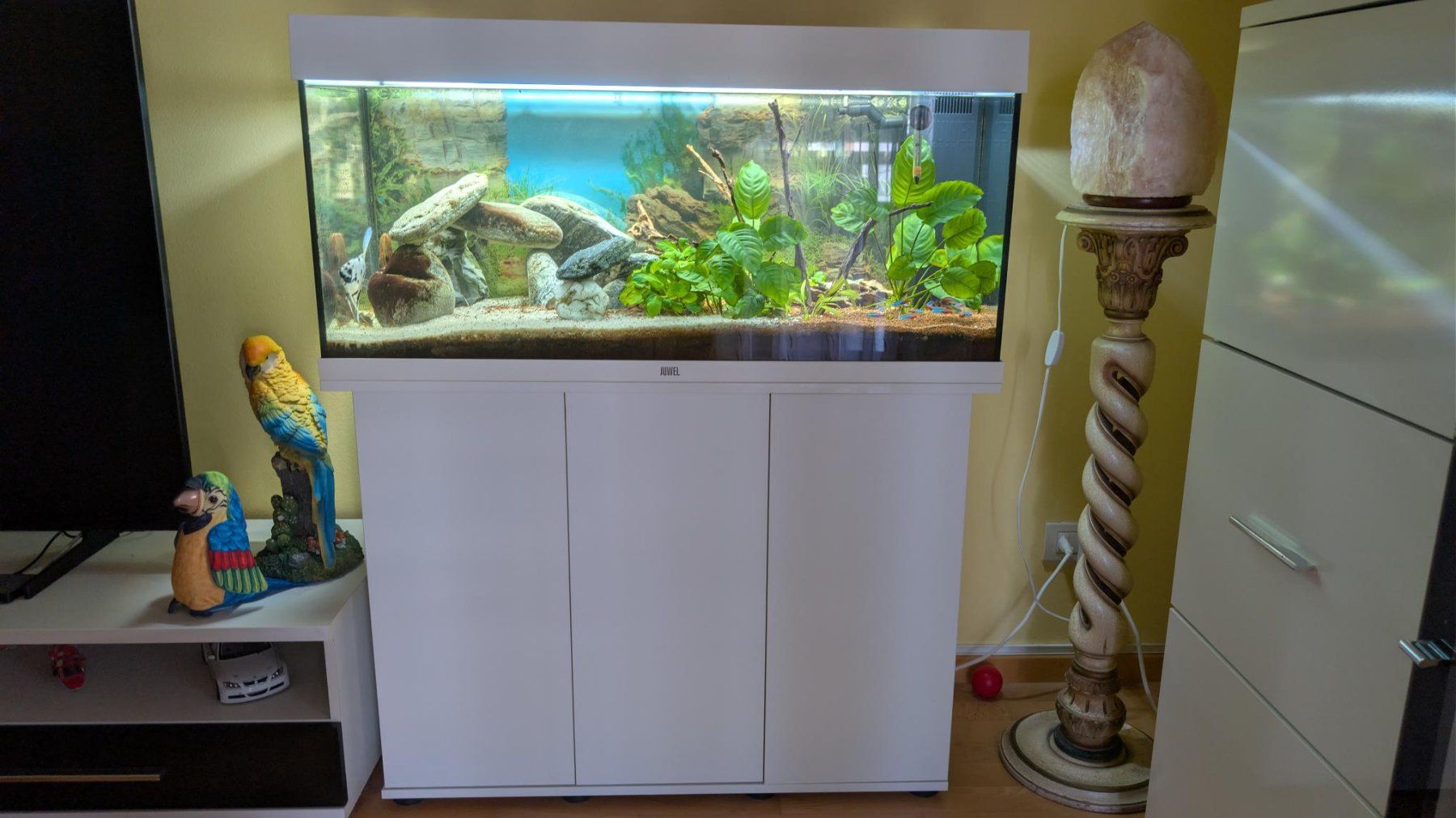 Aquarium: Acquario 160 litri completo – Gebraucht aus Viganello von enz_rds7 2