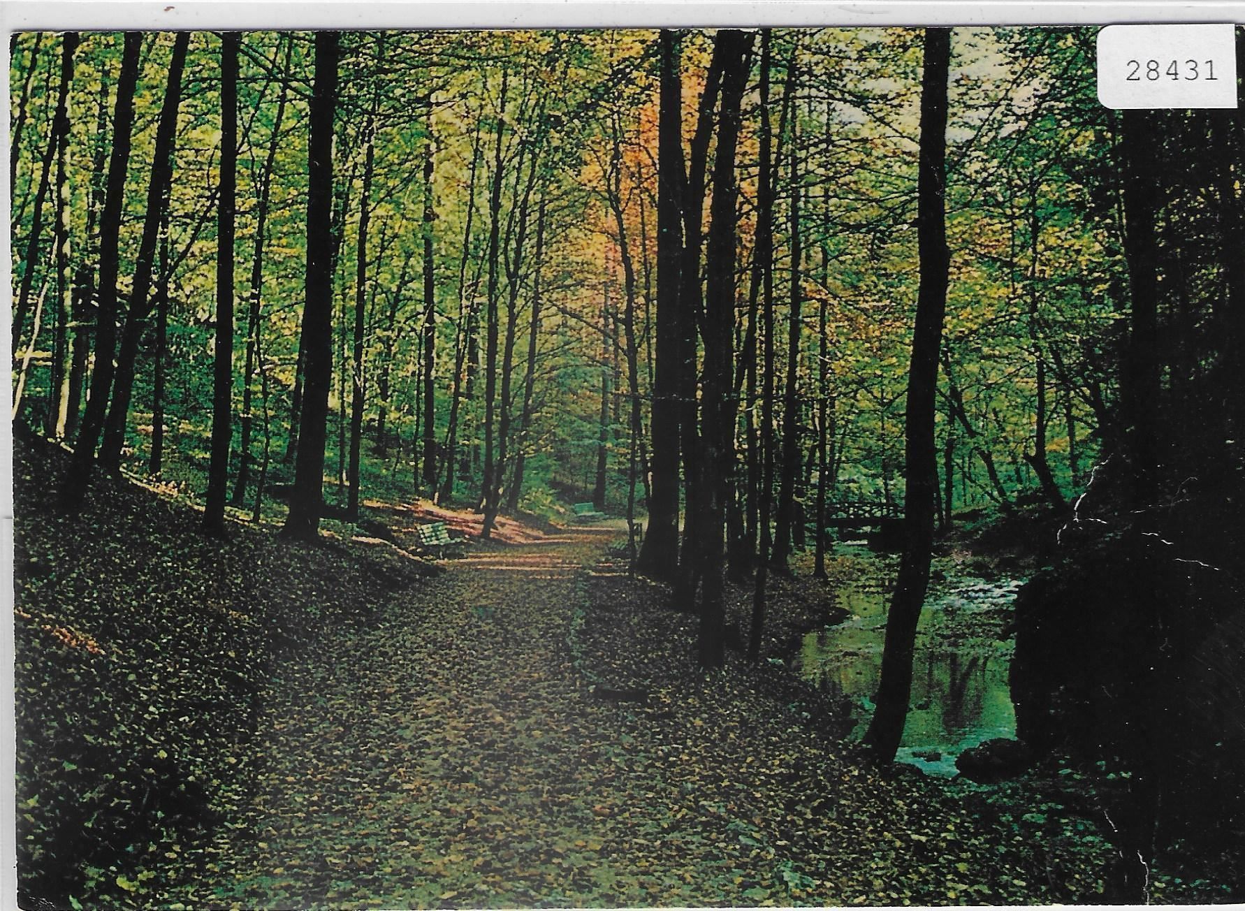Cartoline postali: Waldweg zur Einsiedelei St. Verena – Usato da Ettingen venduto da Kartenplanet