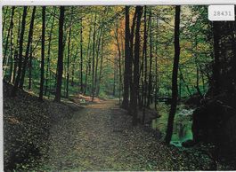 Waldweg zur Einsiedelei St. Verena