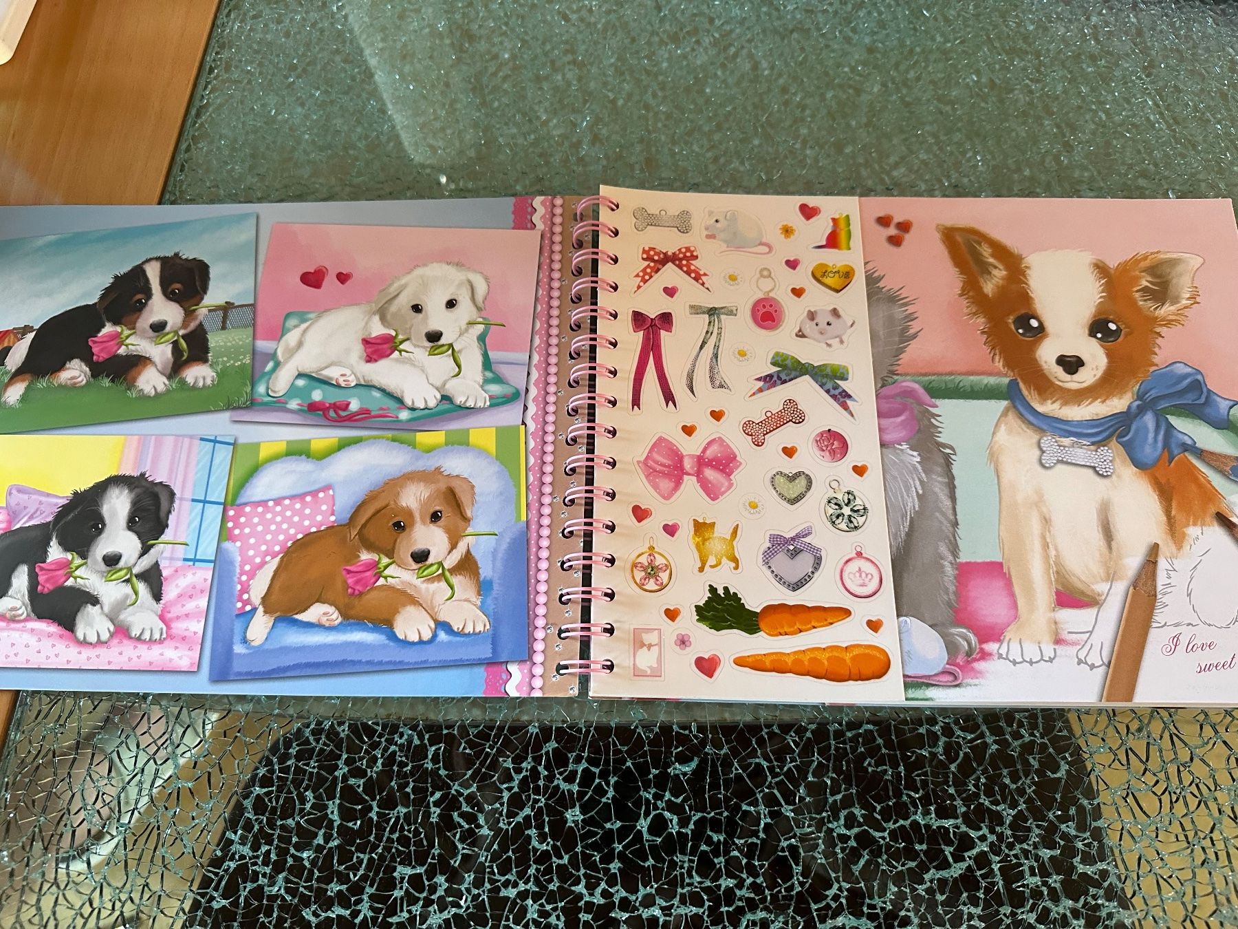 Bücher: Creative Studio Animal Love Zeichnungsheft – Gebraucht aus Riedt b. Erlen von sina.aline 1