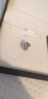 charms Pandora  