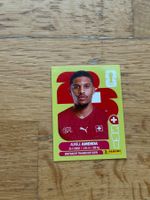 Panini SUI 7
