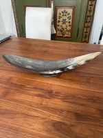 Schale aus Horn Unikat GUENTHER LAMBERT Dekoration