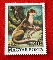 Briefmarke aus Ungarn gestempelt  Siehe Original Fotos 