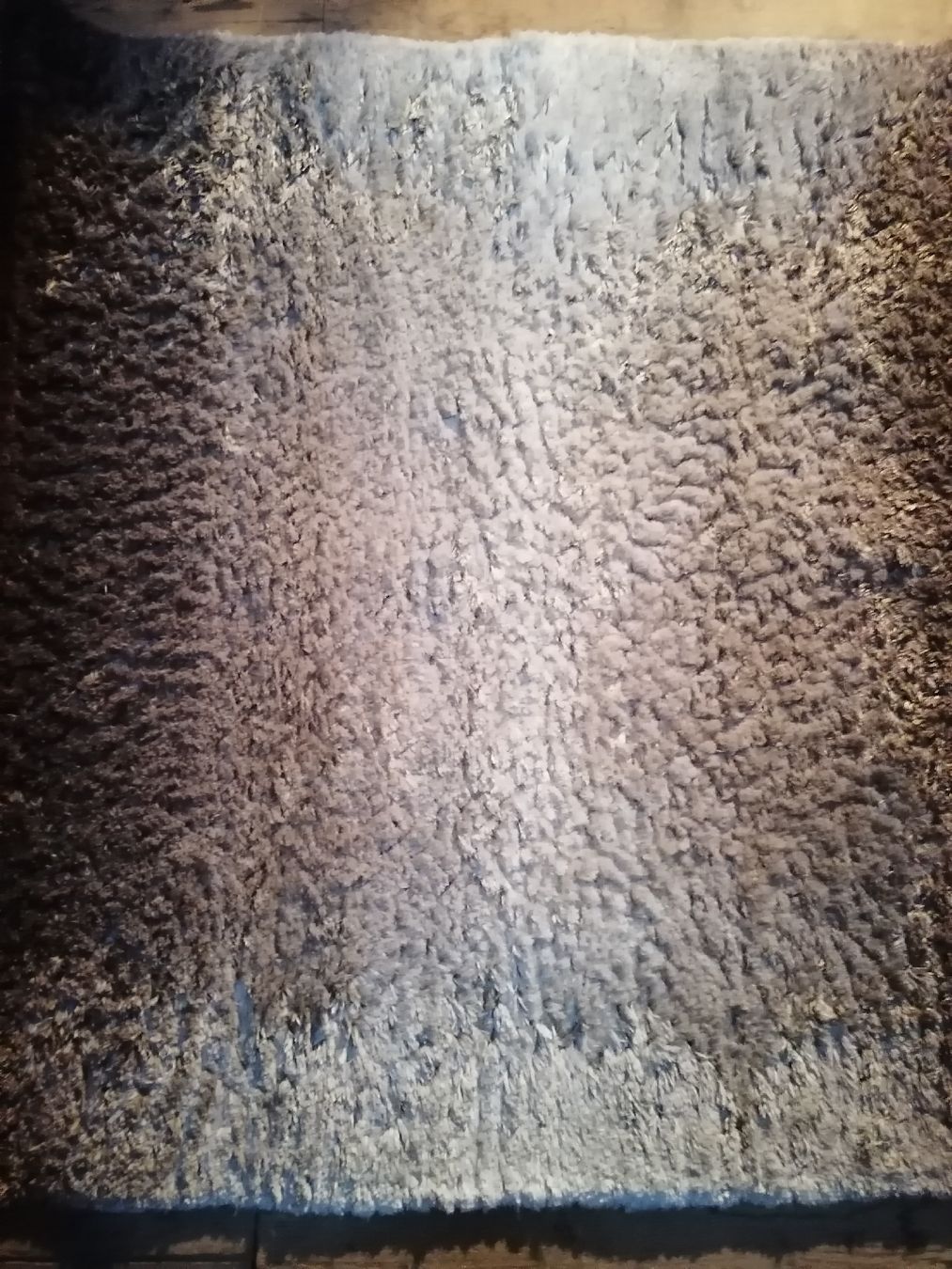 Tappeti: Hochflorteppich Whisper Beige/Hellbraun – Usato da Seon venduto da Aquaristik 2