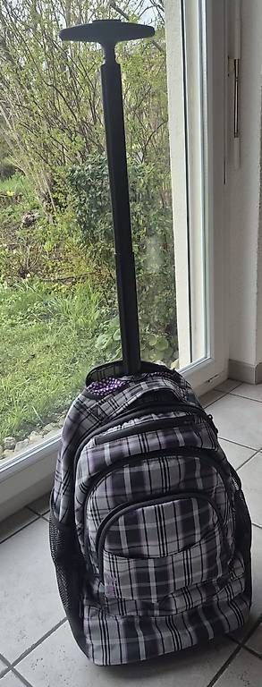 Zaini: Dakine Trolley und Rucksack – Usato da Greifensee venduto da mgr_z62x 1