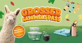 10 einzelne Märkchen, Grosser Sammelspass Coop