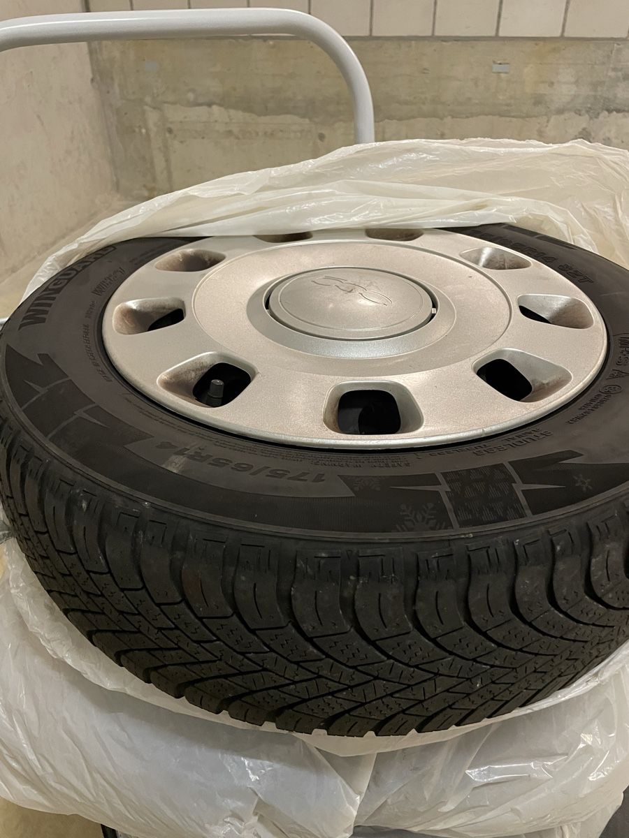 Pneumatici & Ruote complete: Fiat 500 Winterrad 175/65R14 Nexen – Usato da Wangen an der Aare venduto da Surfer89 2