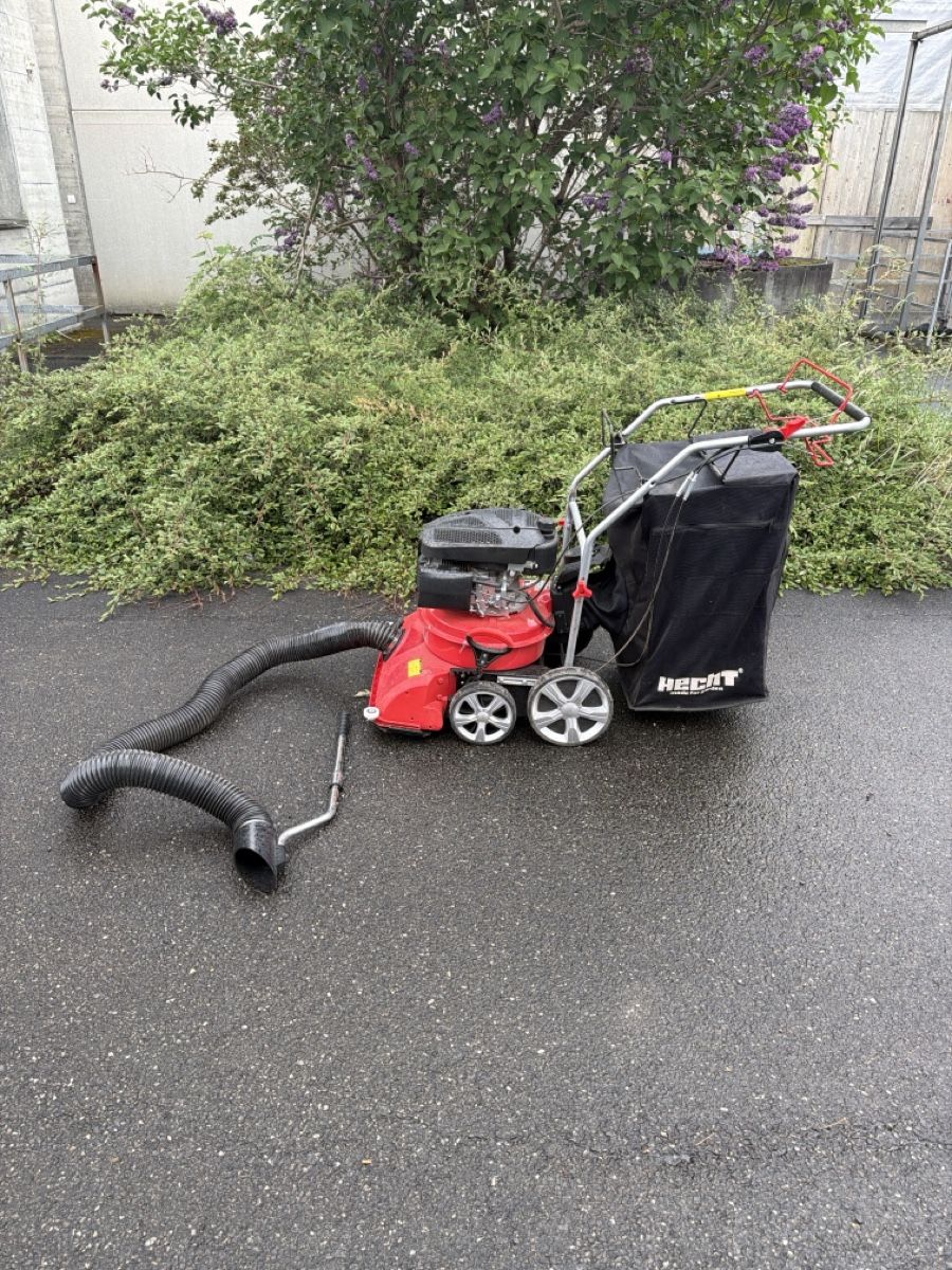 Tutte le macchine: HECHT Strassenkehrer und Laubsauger – Usato da Thun venduto da Allservicescom