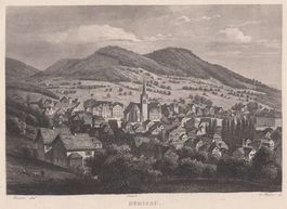 HERISAU, STAHLSTICH 1887
