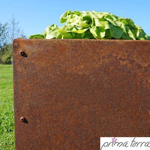 Vasi per fiori: Niedrigbeet Planus Edelrost 118x118x35cm – Nuovo e nell'imballaggio originale da Erlen venduto da casaterra 2