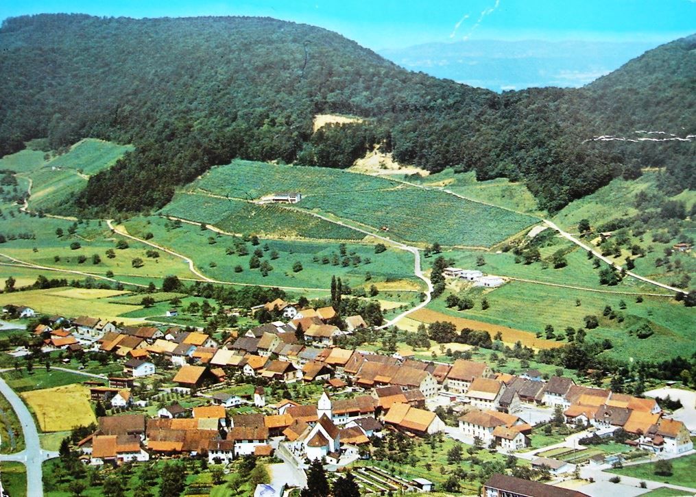 Ansichtskarten: HORNUSSEN AG Flugaufnahme – Gebraucht aus Jona von philajona