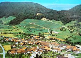 HORNUSSEN AG Flugaufnahme