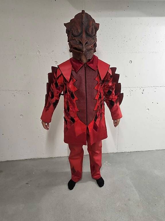 Costumi: Fasnachtskleid "Pilatus-Drache" – Usato da Luzern venduto da Luha1