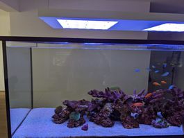 Design Alu Lampen-Gehäuse von SEA PLANET