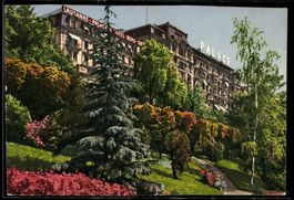 AK Lausanne, Hotel Palace, Façade Lac et Parc privé