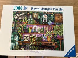 Puzzle 2000 Teile vollständig
