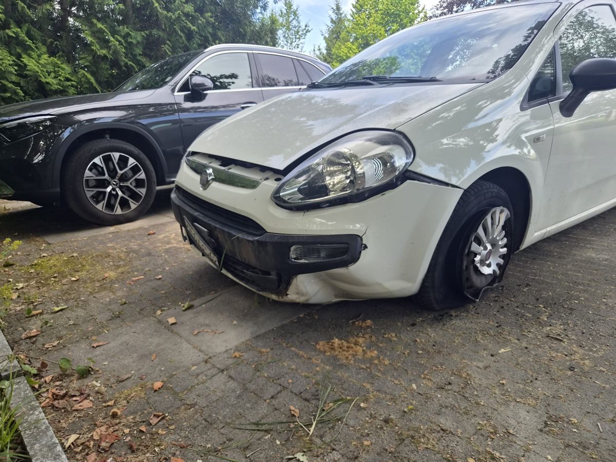 Fiat Autos: Fiat Punto für Teile oder Export – Défectueux à Hombrechtikon par hug_5syk 2