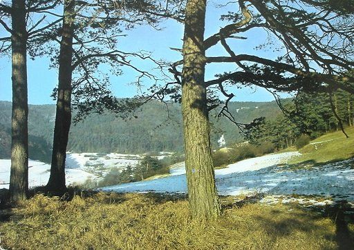 Cartoline postali: MERISHAUSEN – Nuovo (secondo la descrizione) da Jona venduto da philajona